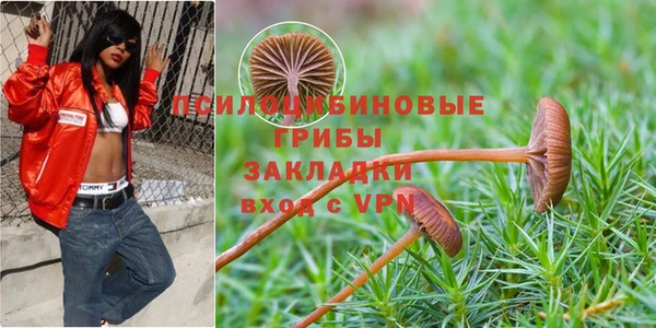 ПСИЛОЦИБИНОВЫЕ ГРИБЫ Переславль-Залесский