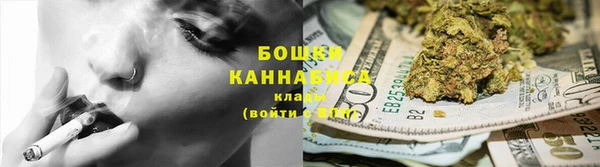 индика Пестово