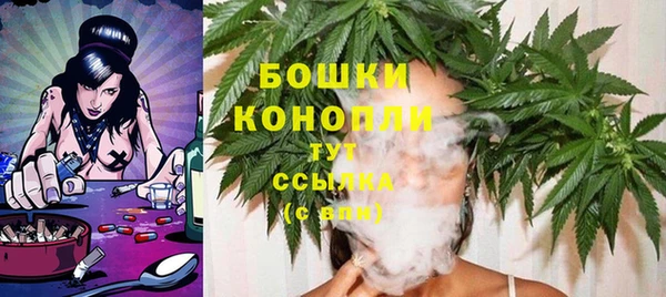 spice Пересвет