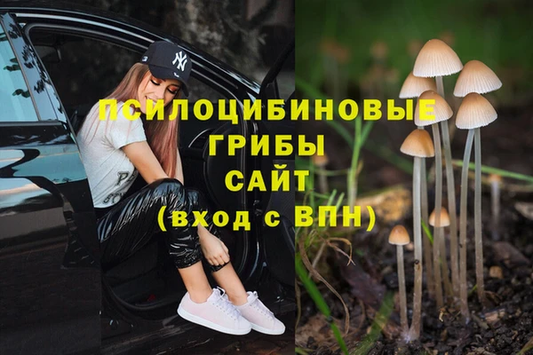 COCAINE Алзамай